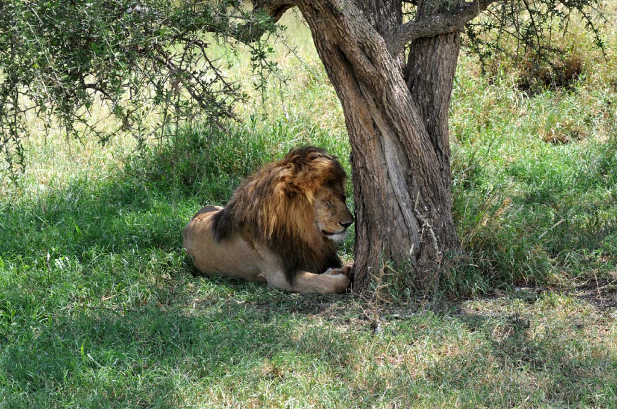 Spirit of Kenya field photograph 53