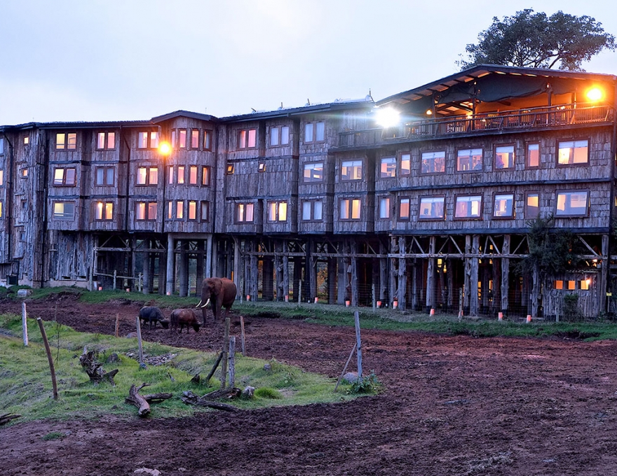 Treetops Lodge