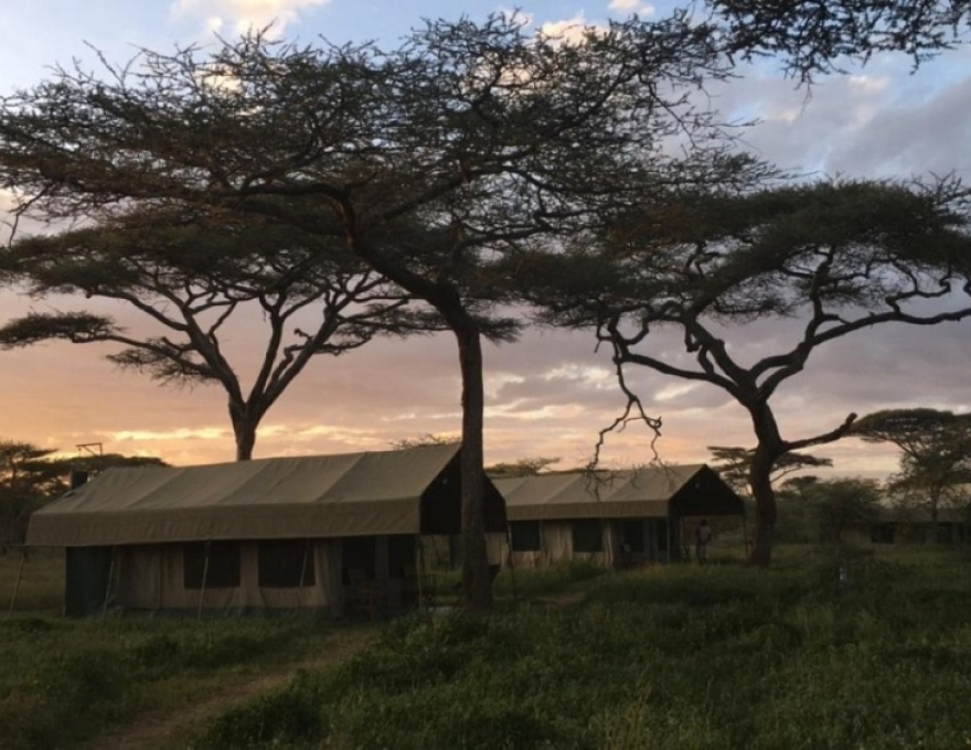 Tawi Lodge