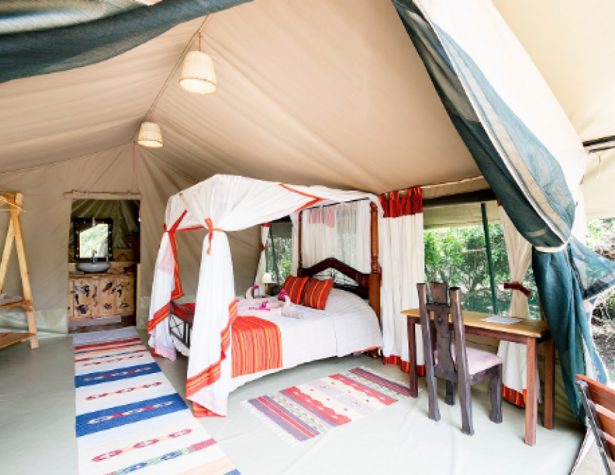 Mara Big Five Camp 2