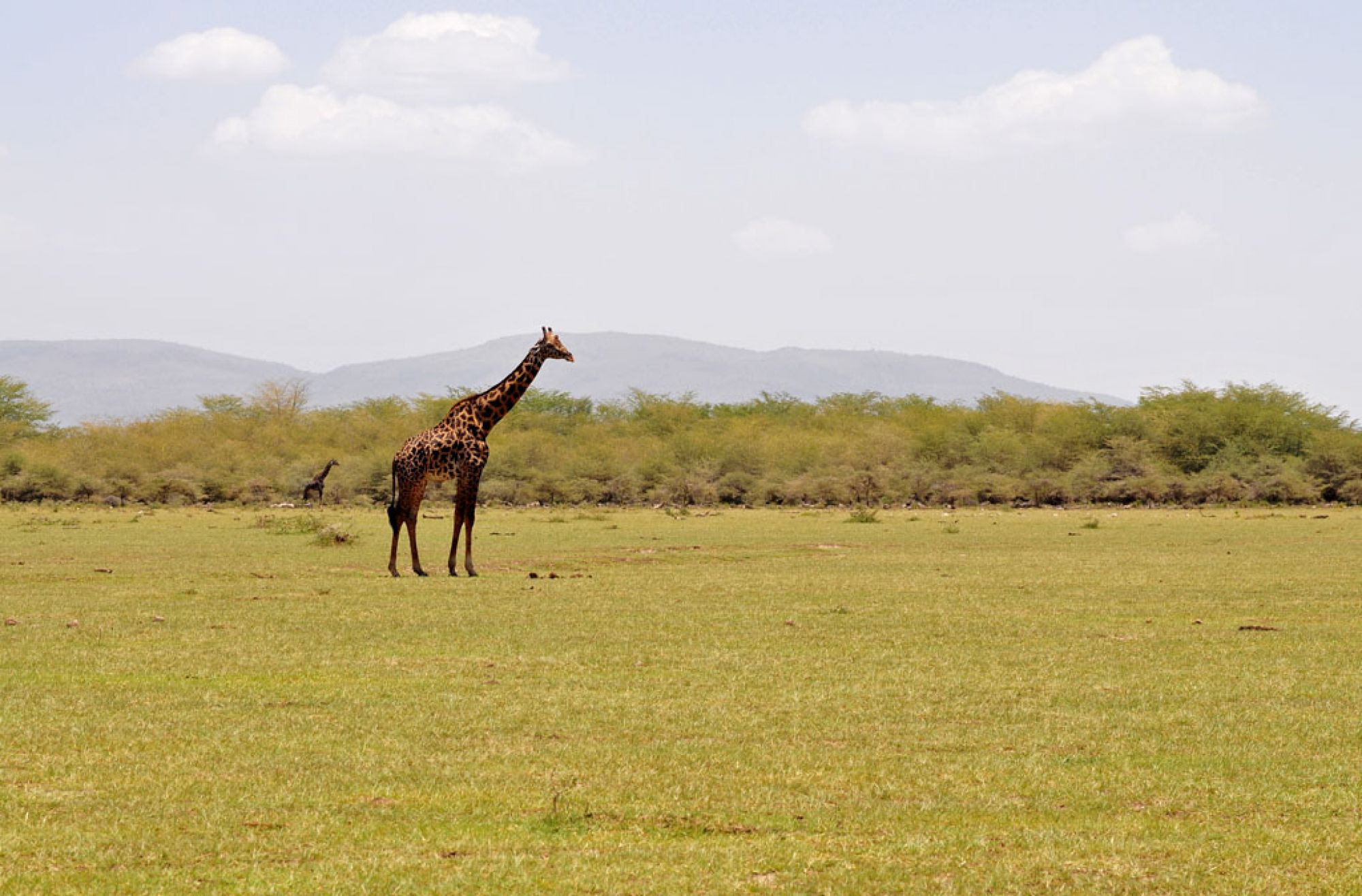 The high landscapes of Africa