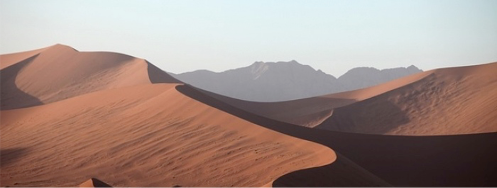 Namibia Highlight Standard Safari