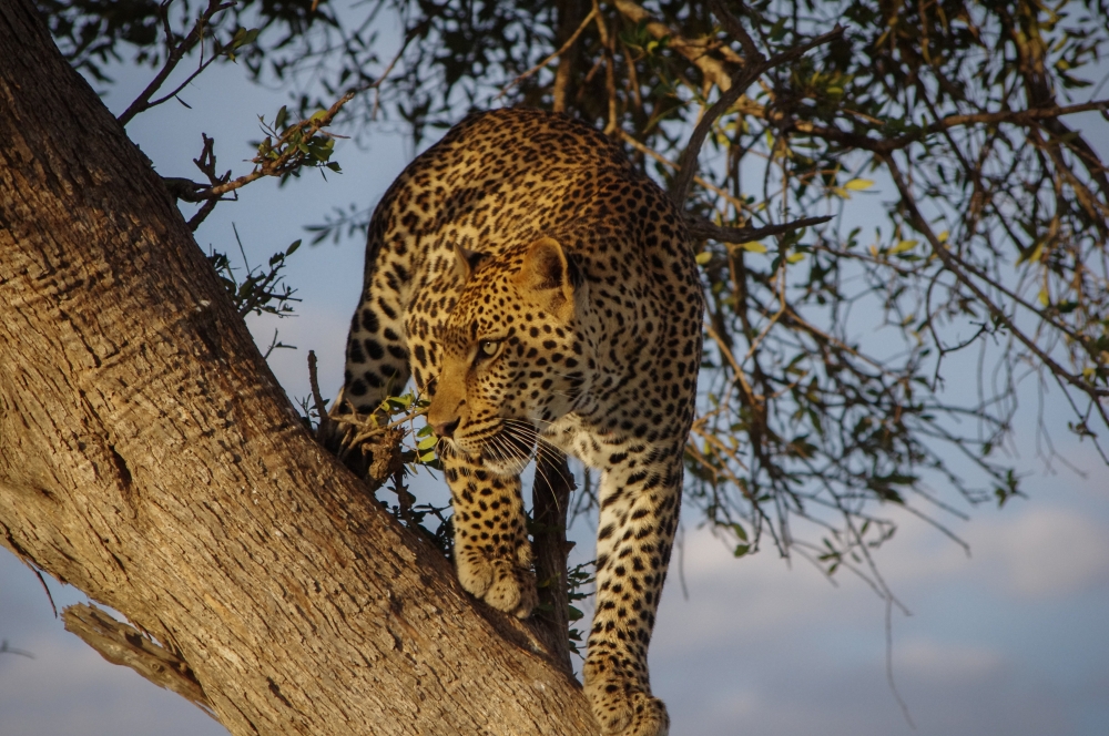 From Kenya to Tanzania with Love 3
