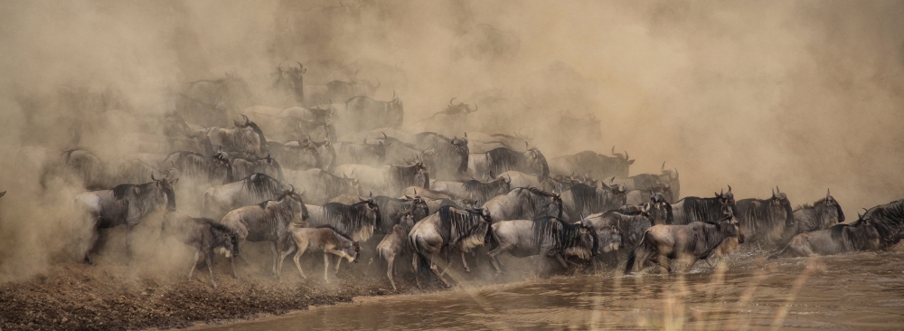 Wonders of Kenya and Tanzania 1