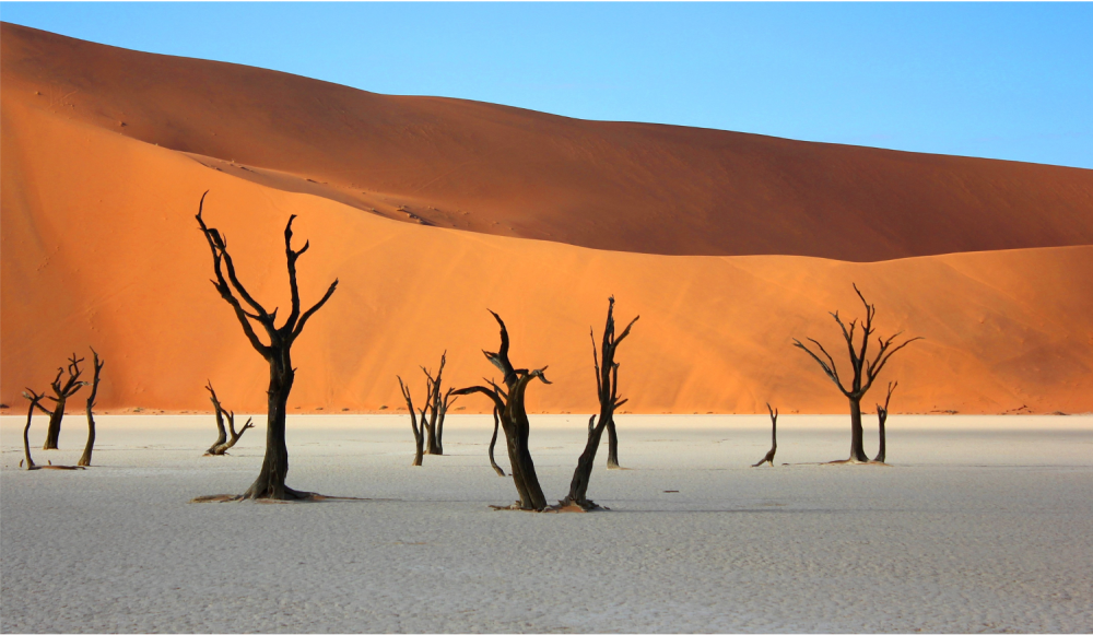 Namibia Highlights Luxury Safari 2